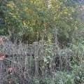 0 Shelbyville Rd - Photo 6