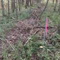 0 Shelbyville Rd - Photo 8