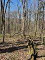 2057 Hillsboro - Photo 13