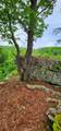 0 Bridal Veil South - Photo 1