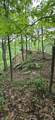 0 Bridal Veil South - Photo 20