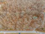 7402 Les Hughes Rd - Photo 4