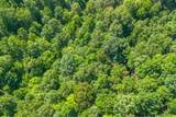 0 Chestnut Ridge Rd - Photo 16