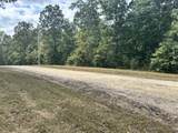 0 Three Rivers Drive - Photo 2