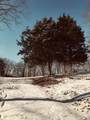 0 Toll Dugger Rd - Photo 21