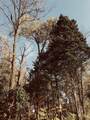 0 Toll Dugger Rd - Photo 25