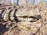 0 Toll Dugger Rd - Photo 31