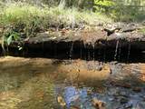 72 Periwinkle - Photo 11