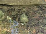 72 Periwinkle - Photo 12