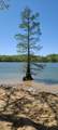 199 Hardin Bottom River Rd - Photo 18