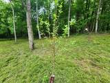 0 Tinin Rd - Photo 3