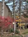 101 Holly Forest - Photo 4