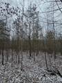 0 Tootley Campbell Rd - Photo 9