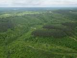 0 Hohenwald Hwy - Photo 13