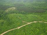 0 Hohenwald Hwy - Photo 15