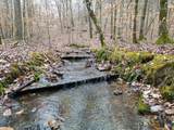 0 Hohenwald Hwy - Photo 21