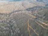 0 Hohenwald Hwy - Photo 36