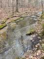 0 Hohenwald Hwy - Photo 41