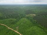 0 Hohenwald Hwy - Photo 6