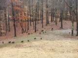 380 Watson Ln - Photo 4