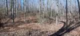 0 Off Stanley Hood Rd - Photo 11