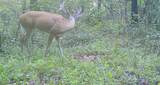 830 Twin Pines Overlook - Photo 1