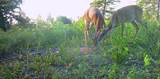830 Twin Pines Overlook - Photo 4