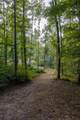 202 Ravenridge Rd - Photo 42