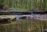 202 Ravenridge Rd - Photo 45