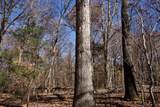 7 West Of Barlow Rd - Photo 11