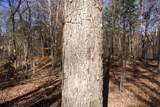 7 West Of Barlow Rd - Photo 13