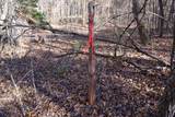 7 West Of Barlow Rd - Photo 30