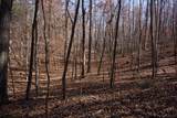 7 West Of Barlow Rd - Photo 31