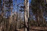 7 West Of Barlow Rd - Photo 36