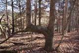 7 West Of Barlow Rd - Photo 38
