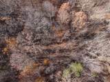 7 West Of Barlow Rd - Photo 6