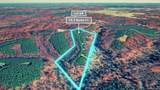 0 Cox Hollow - Photo 11