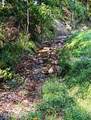 186 Drinnon Lane - Photo 15