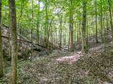 0 Treadwell Prong Rd - Photo 53