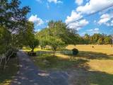 825 Barham Ln - Photo 53