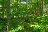 0 Chestnut Ridge Rd - Photo 1