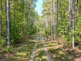 0 Treadwell Prong Rd - Photo 2