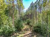 0 Treadwell Prong Rd - Photo 27