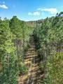 0 Treadwell Prong Rd - Photo 32