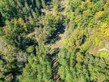 0 Treadwell Prong Rd - Photo 35