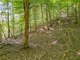 0 Treadwell Prong Rd - Photo 36
