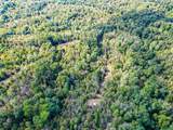 0 Treadwell Prong Rd - Photo 46
