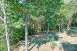 737 Black Horse Parkway - Photo 60
