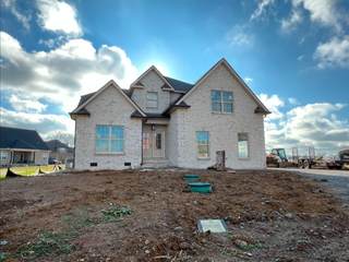 MLS# 2773348 - 1513 Addi Jo Ct in Lewis Downs Sec 5 & Resub in Christiana Tennessee 37037