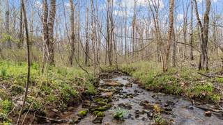 MLS# 2812117 - 6455 Highway 48 N in N/A in Cumberland Furnace Tennessee 37051